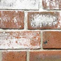 efflorescence sur mur