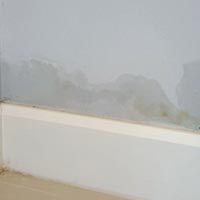 tache sur mur humide