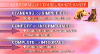 assurance animaux