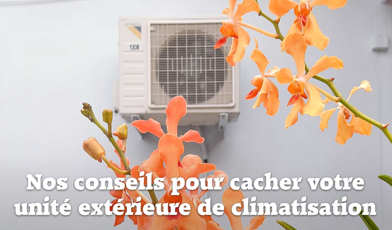 unité extérieure de climatisation dissimulée par des fleurs