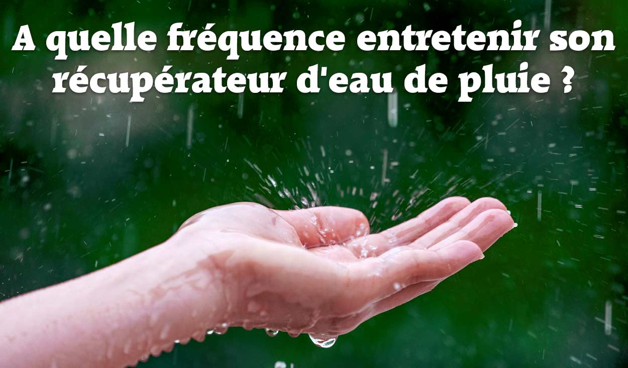 A quelle fréquence entretenir son récupérateur d'eau de pluie ?