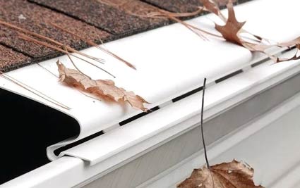 pare-feuilles pour gouttières