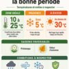 Infographie des températures idéales pour couler une dalle béton