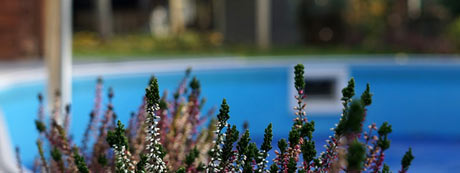 filtration de piscine avec un skimmer