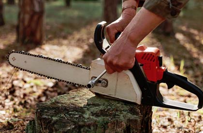 tronçonneuse pour couper un arbre